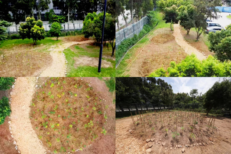 Landscaping services in Ahmedabad, Gandhinagar, Vadodara, Surat & Sanand